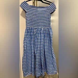 J. Crew Blue and White Gingham Dress